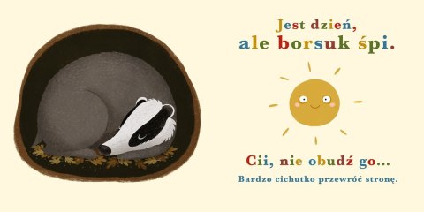 Książeczka Rok w lesie. Borsuk Nasza księgarnia Książeczka Rok w lesie. Borsuk Nasza księgarnia