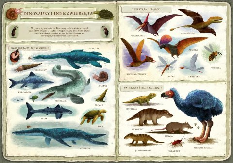 Książeczka Opowiem ci, mamo, co robią dinozaury Nasza księgarnia Książeczka Opowiem ci, mamo, co robią dinozaury Nasza księgarnia
