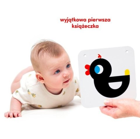 Duże karty kontrastowe dla dzieci 0 i 3 mies.+ CzuCzu Duże karty kontrastowe dla dzieci 0 i 3 mies.+ CzuCzu