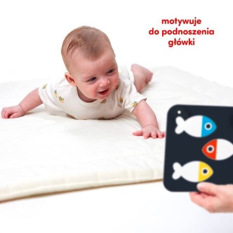 Duże karty kontrastowe dla dzieci 0 i 3 mies.+ CzuCzu Duże karty kontrastowe dla dzieci 0 i 3 mies.+ CzuCzu