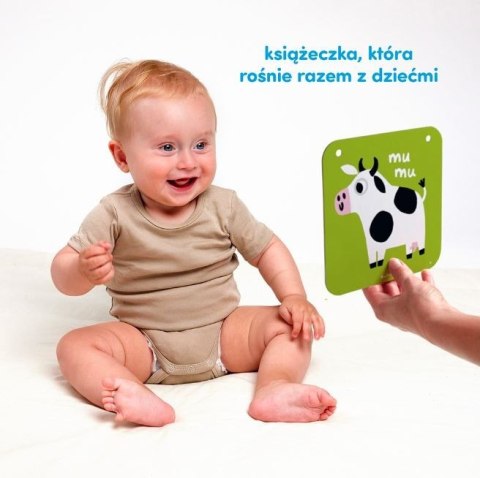 Duże karty kontrastowe dla dzieci 6 i 9 mies.+ CzuCzu Duże karty kontrastowe dla dzieci 6 i 9 mies.+ CzuCzu