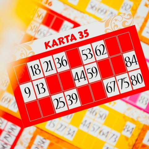 Gra Ludoteca Bingo Lisciani Gra Ludoteca Bingo Lisciani