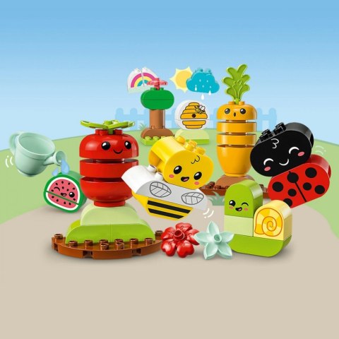 Klocki DUPLO 10984 Ogród uprawowy LEGO
