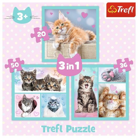 Puzzle 3w1 Słodkie zwierzaki kotki Trefl Puzzle 3w1 Słodkie zwierzaki kotki Trefl