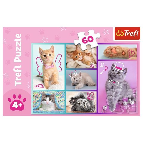 Puzzle 60 elementów Słodkie kociaki Trefl Puzzle 60 elementów Słodkie kociaki Trefl