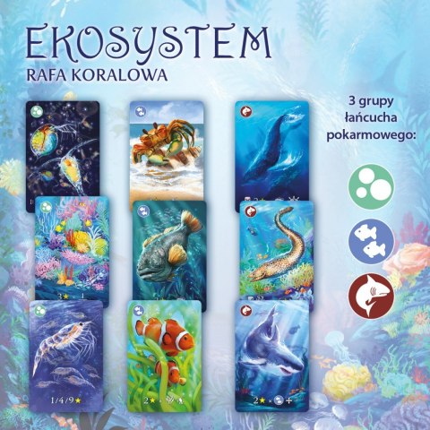 Gra Eko system 2 Rafa koralowa Nasza księgarnia Gra Eko system 2 Rafa koralowa Nasza księgarnia