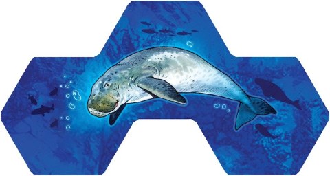 Gra Aqua (edycja polska) Rebel Gra Aqua (edycja polska) Rebel