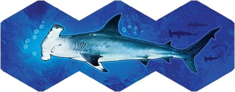Gra Aqua (edycja polska) Rebel Gra Aqua (edycja polska) Rebel