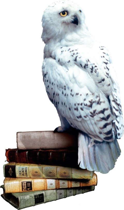 Gra Harry Potter i Czytacz Myśli Rebel Gra Harry Potter i Czytacz Myśli Rebel