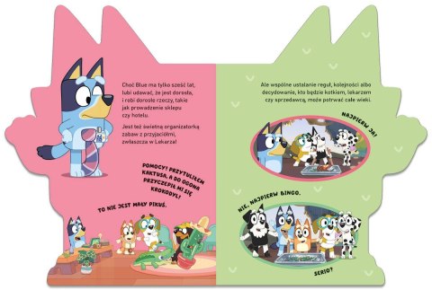 Książeczka Poznaj Bluey Książeczki kartonowe Harper Collins Książeczka Poznaj Bluey Książeczki kartonowe Harper Collins