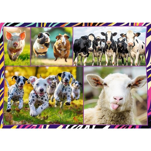 Puzzle 4x250 elementów Zabawne zwierzaki Trefl Puzzle 4x250 elementów Zabawne zwierzaki Trefl