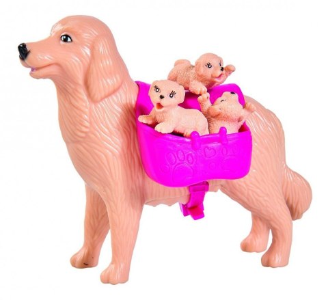 Evi psia opiekunka Simba Evi psia opiekunka Simba