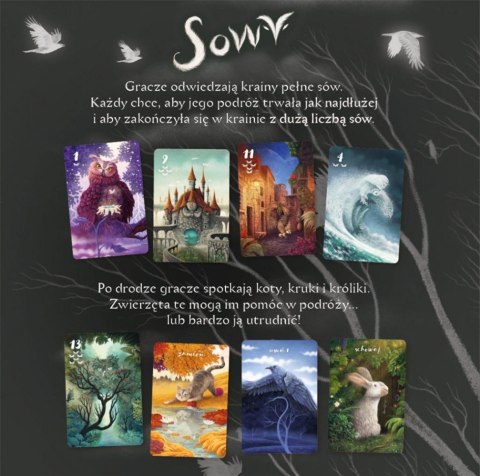 Gra Sowy Nasza księgarnia Gra Sowy Nasza księgarnia
