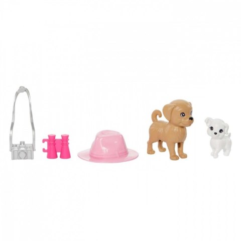Zestaw lalek Barbie i Stacie z pieskami Mattel Zestaw lalek Barbie i Stacie z pieskami Mattel