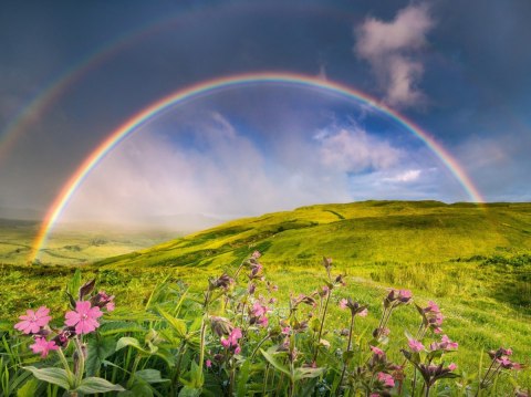 Puzzle 1500 elementów Tęcza nad łąka Ravensburger Polska Puzzle 1500 elementów Tęcza nad łąka Ravensburger Polska