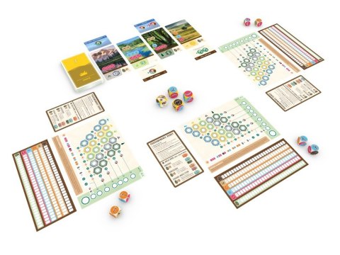 Gra Kaskadia: Wzgórza Lucky Duck Games Gra Kaskadia: Wzgórza Lucky Duck Games
