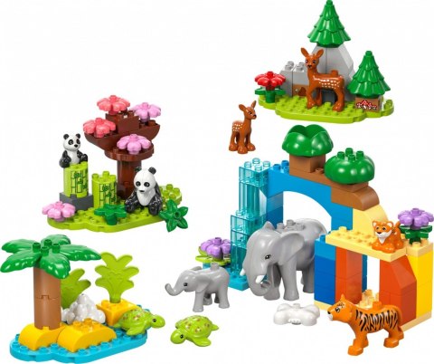 Klocki DUPLO 10446 Rodziny dzikich zwierząt 3 w 1 LEGO Klocki DUPLO 10446 Rodziny dzikich zwierząt 3 w 1 LEGO