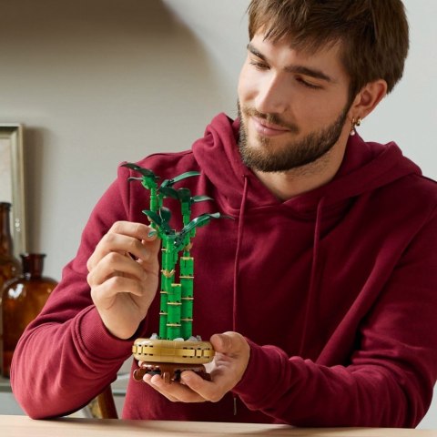 Klocki Botanicals 10344 Dracena sandera LEGO Klocki Botanicals 10344 Dracena sandera LEGO