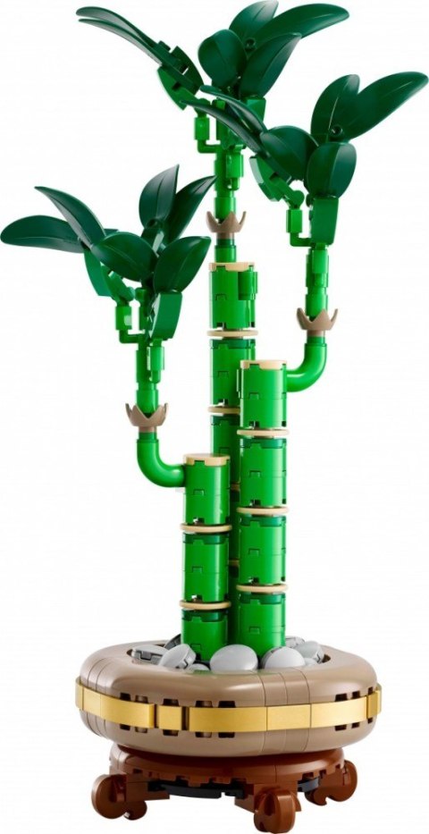 Klocki Botanicals 10344 Dracena sandera LEGO Klocki Botanicals 10344 Dracena sandera LEGO