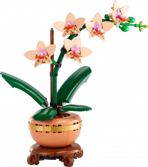 Klocki Botanicals 10343 Mała orchidea LEGO Klocki Botanicals 10343 Mała orchidea LEGO