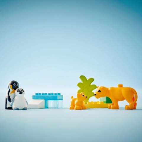 Klocki DUPLO 10442 Rodziny dzikich zwierząt: pingwiny i lwy LEGO Klocki DUPLO 10442 Rodziny dzikich zwierząt: pingwiny i lwy LEGO