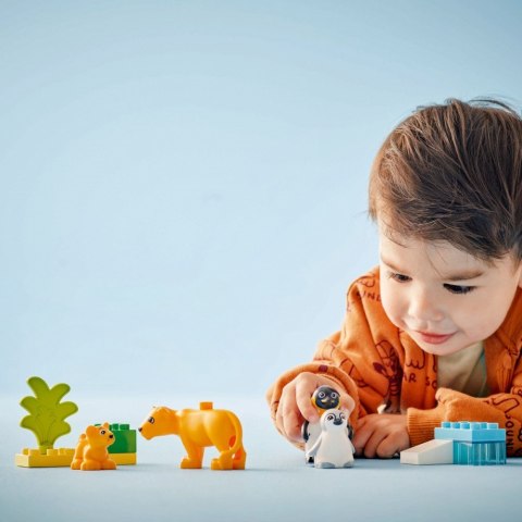 Klocki DUPLO 10442 Rodziny dzikich zwierząt: pingwiny i lwy LEGO Klocki DUPLO 10442 Rodziny dzikich zwierząt: pingwiny i lwy LEGO