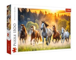 Puzzle 1500 elementów Dzikie konie Trefl