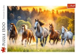 Puzzle 1500 elementów Dzikie konie Trefl