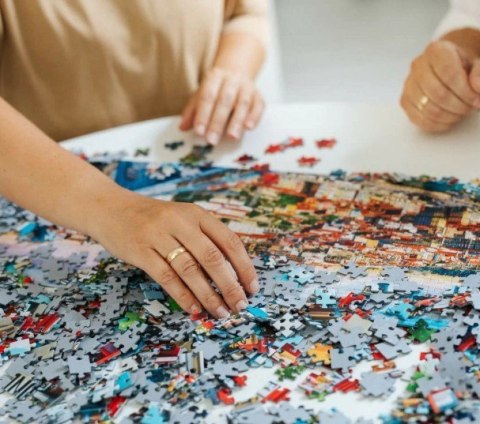 Puzzle 2x500 elementów Prace w ogrodzie Trefl Puzzle 2x500 elementów Prace w ogrodzie Trefl