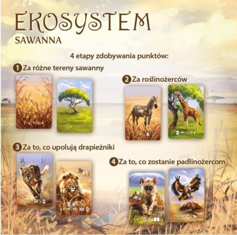 Gra Ekosystem 3 - Sawanna Nasza księgarnia Gra Ekosystem 3 - Sawanna Nasza księgarnia