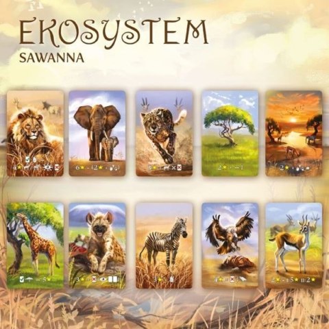 Gra Ekosystem 3 - Sawanna Nasza księgarnia Gra Ekosystem 3 - Sawanna Nasza księgarnia