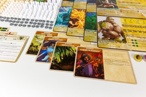 Gra Spirit Island (PL) Portal Games