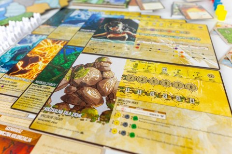 Gra Spirit Island (PL) Portal Games