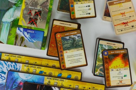 Gra Spirit Island (PL) Portal Games