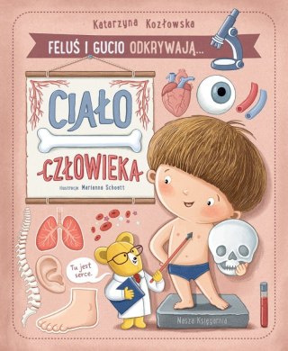 Książeczka Feluś i Gucio odkrywają... Ciało człowieka Nasza księgarnia