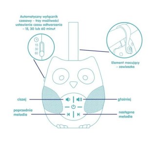 Pozytywka - Sowa ASKATO