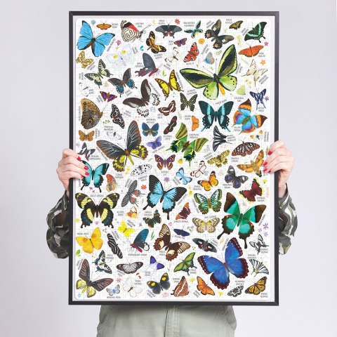 Puzzle Puzzlove Motyle 1000 elementów CzuCzu