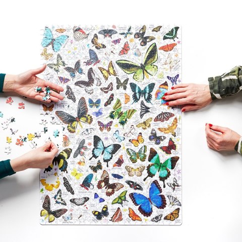 Puzzle Puzzlove Motyle 1000 elementów CzuCzu