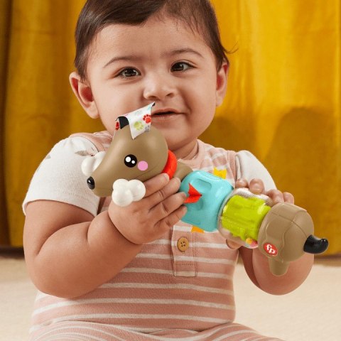 Zabawka sensoryczna Pets Aktywizujący Jamnik Fisher Price Zabawka sensoryczna Pets Aktywizujący Jamnik Fisher Price