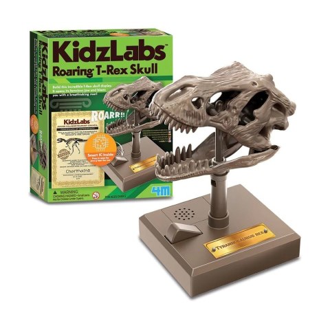 Zestaw edukacyjny Rycząca czaszka T-Rex 4m Zestaw edukacyjny Rycząca czaszka T-Rex 4m