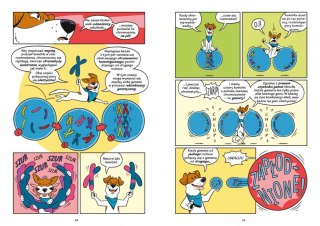 Książeczka Psy - od drapieżników do obrońców Nasza księgarnia