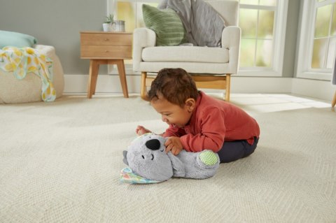 Usypianka Koala Oddychający uspokajacz Fisher Price