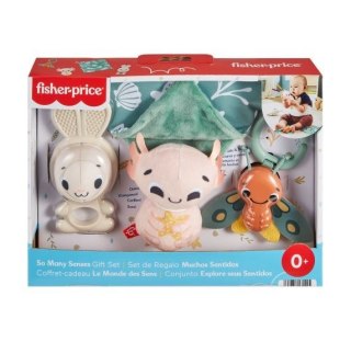 Zestaw prezentowy Świat zmysłów Fisher Price