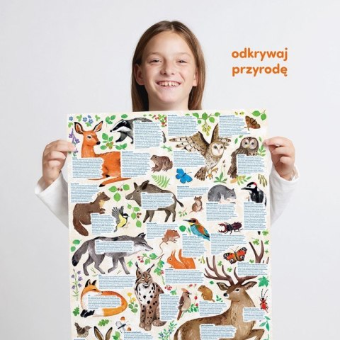 Puzzle odkrywcy - Dzika przyroda 300 elementów CzuCzu