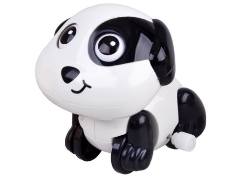 Hola Nakręcany PIESEK pies jeździ rusza ogonkiem ZA1191