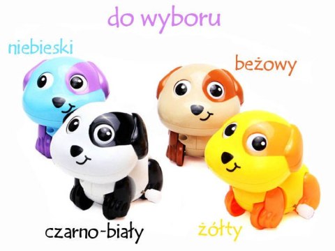 Hola Nakręcany PIESEK pies jeździ rusza ogonkiem ZA1191
