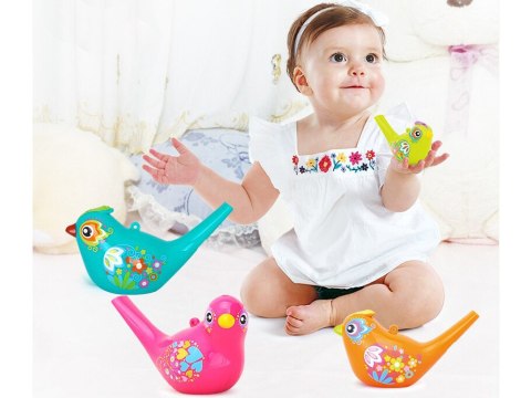 Hola Ptaszek Gwizdek wodny Water Bird birds ZA1483