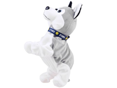 JOKOMISIADA Interaktywny piesek Husky reaguje na dotyk Szczeka + różne sztuczki ZA1333