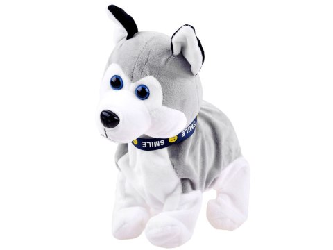 JOKOMISIADA Interaktywny piesek Husky reaguje na dotyk Szczeka + różne sztuczki ZA1333