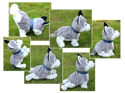 JOKOMISIADA Interaktywny piesek Husky reaguje na dotyk Szczeka + różne sztuczki ZA1333